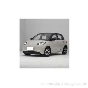 Wuling Bingo ev nuovo più approfondito Walkaround New Energy Vehicles Electric Sports Car